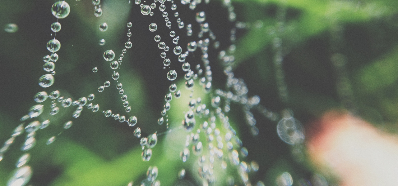 Water efficiency in buildings